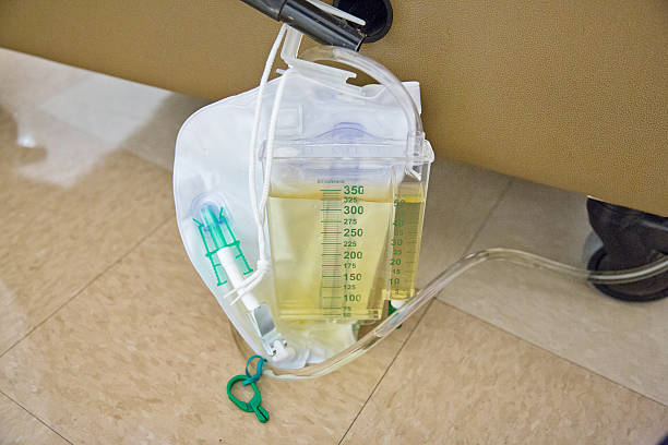 Urine Catheter Insertion / Removal